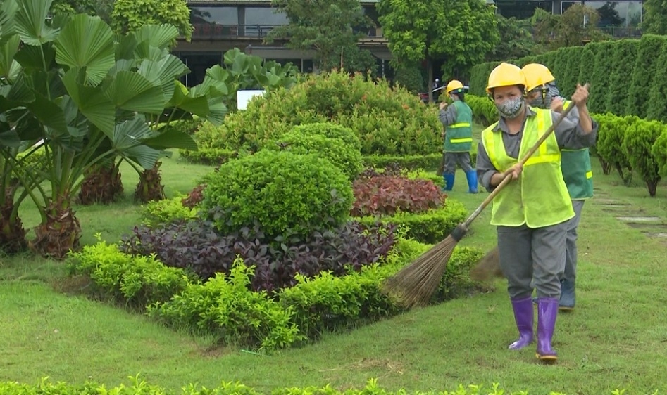 HTX tạo việc làm và thu nhập ổn định cho nhiều lao động địa phương.
