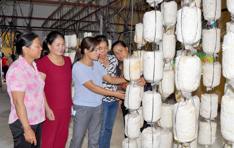 Các địa phương của tỉnh Tuyên Quang sẽ tiếp tục kiện toàn công tác dạy nghề để nâng cao hiệu quả trong thời gian tới (Ảnh TL).