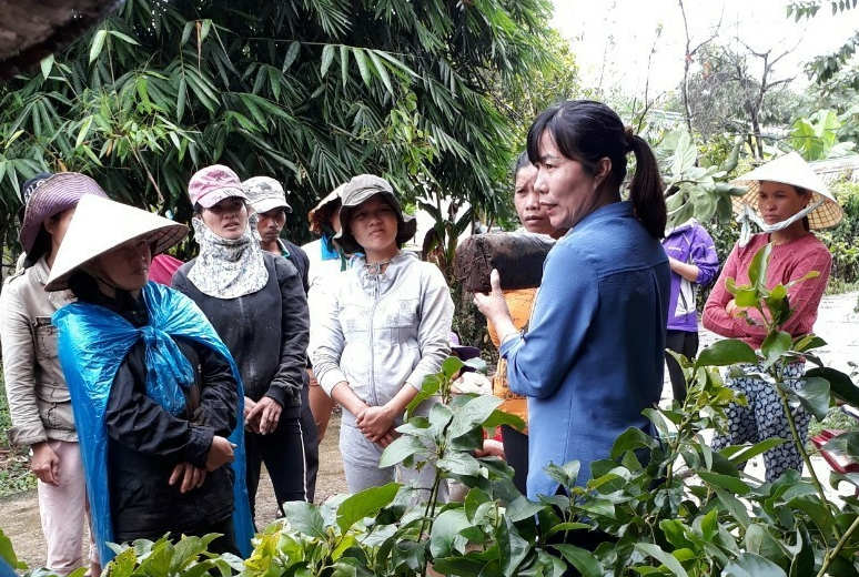 Trung tâm Khuyến nông Khuyến ngư tỉnh cấp cây giống cho thành viên THT Phụ nữ dân tộc thiểu số trồng cây ăn quả thôn Plei Sar.