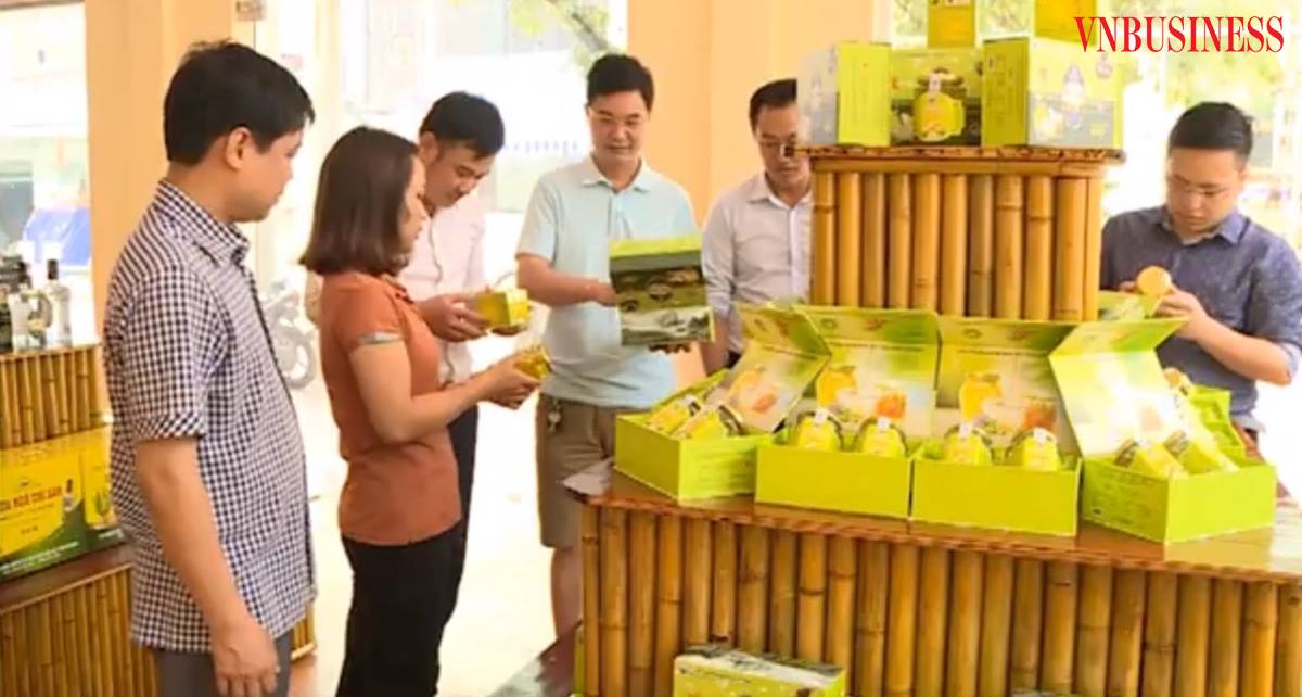 Thúc đẩy chuyển đổi số cho sản phẩm OCOP giúp gia tăng lòng tin của khách hàng đối với chất lượng và uy tín của sản phẩm