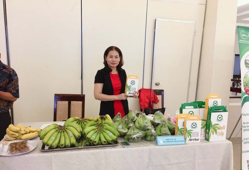 Chuối của HTX Laba Banana Đạ KNàng chất lượng và thường xuyên tham gia các hội chợ giới thiệu, quảng bá nông sản trong và ngoài tỉnh Lâm Đồng.