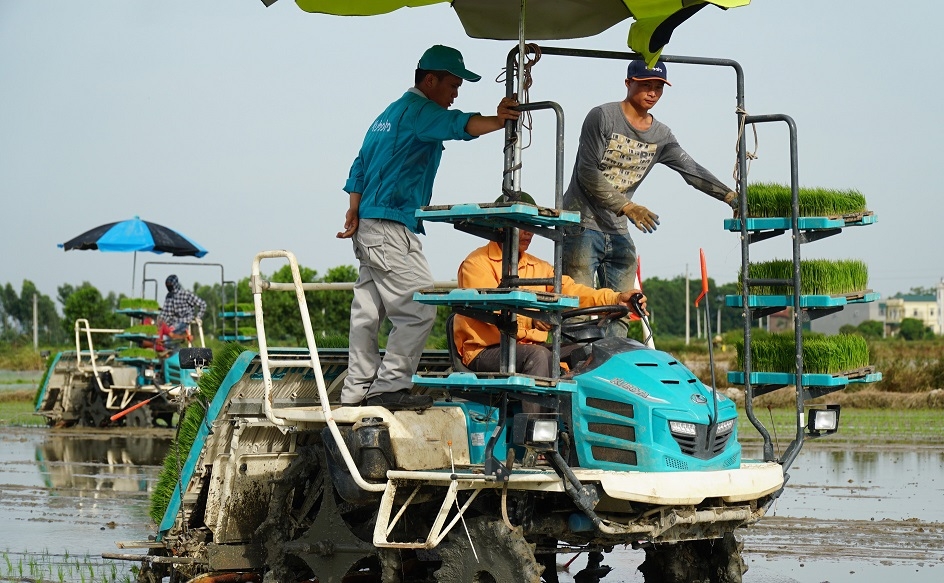 HTX dịch vụ nông nghiệp Mộ Trạch đi đầu trong cơ giới hóa nông nghiệp trên địa bàn tỉnh Hải Dương.