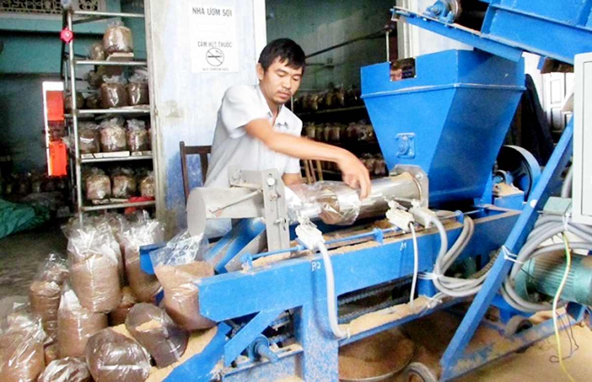 Các HTX đang có những đóng góp thiết thực trong dạy nghề, tạo việc làm cho lao động nông thôn (Ảnh TL).