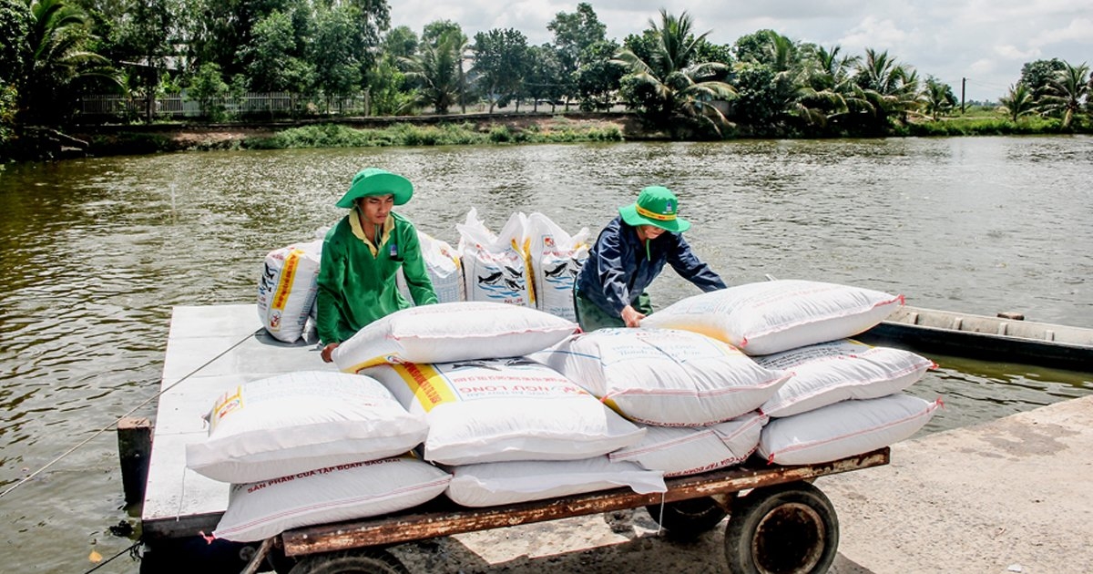 Ðể phát triển ổn định, HTX Thắng Lợi rất cần sự hỗ trợ của ngành chức năng trong tìm kiếm, khai thác, mở rộng thị trường xuất khẩu