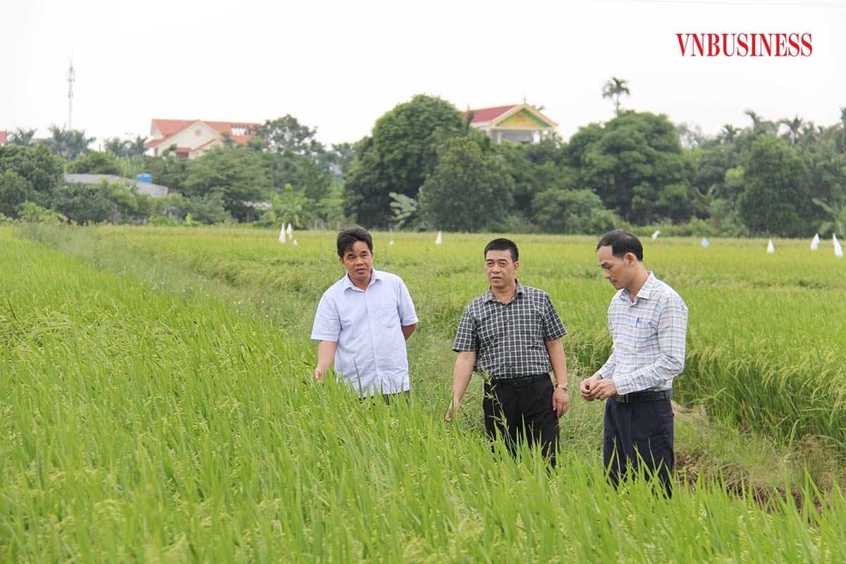 Bà Lê Thị Tâm, Chủ tịch Liên minh HTX tỉnh Ninh Bình: Điều lệ Liên minh HTX Việt Nam năm 2021 được Chính phủ phê duyệt cơ bản tạo điều kiện tốt hơn trong liên kết hệ thống và tăng vai trò của hệ thống Liên minh HTX.