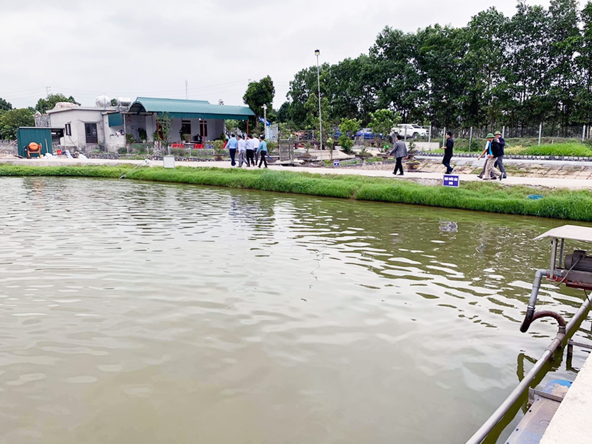 Kim Bảng đang hướng tới phát triển nông nghiệp sinh thái kết hợp du lịch (Ảnh TL).