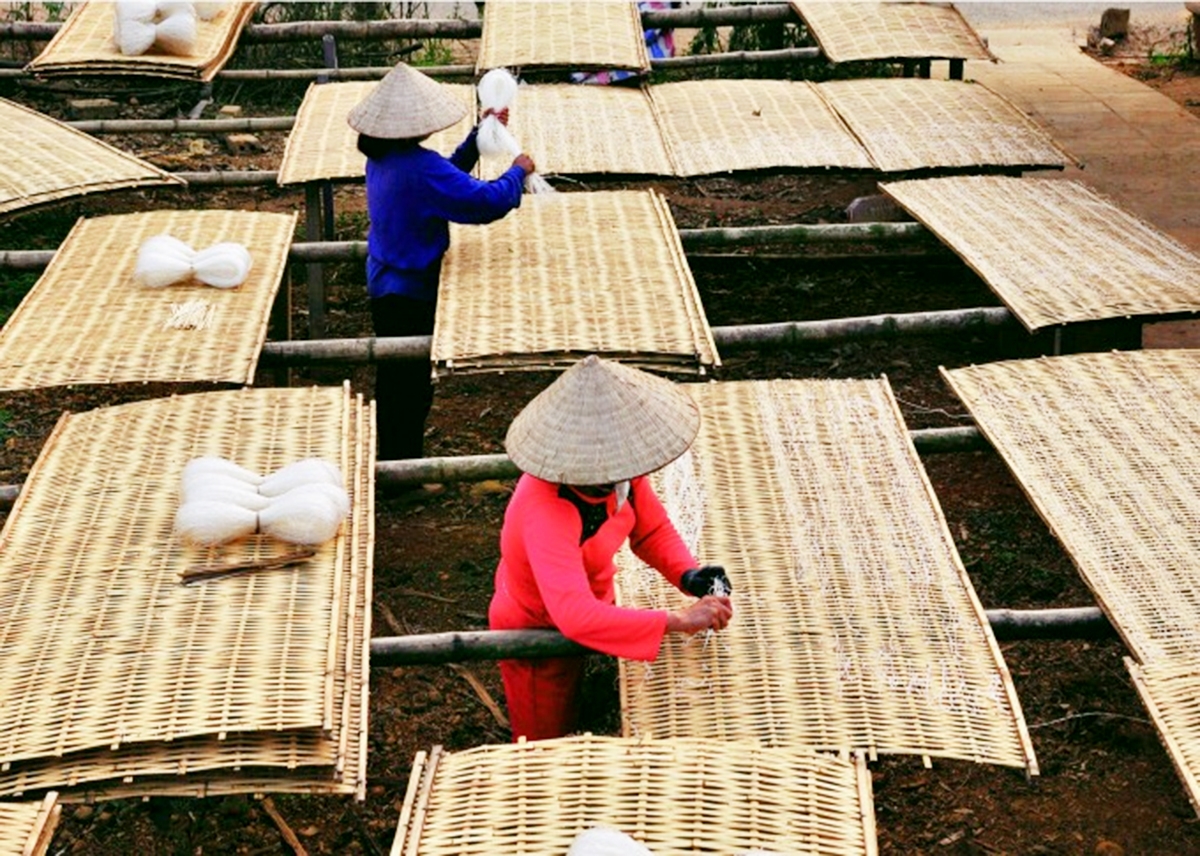 Các chương trình đào tạo nghề cho phụ nữ nông thôn sẽ tiếp tục được tỉnh đẩy mạnh (Ảnh TL).