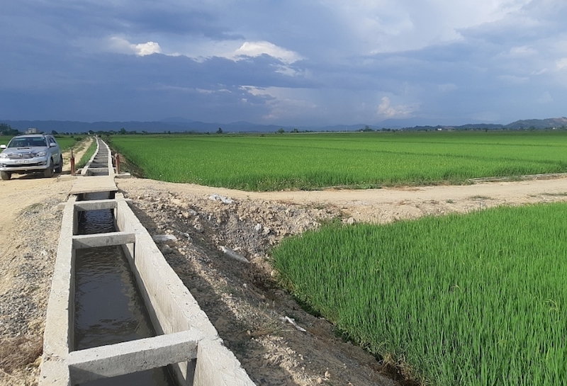 Cánh đồng trồng lúa VietGAP ở xã Buôn Chóah (huyện Krông Nô).