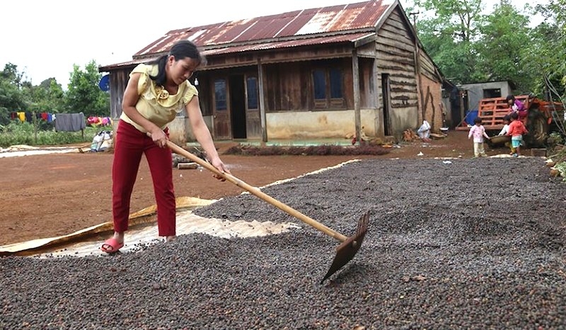 Nhờ được hỗ trợ sinh kế, phụ nữ DTTS ở Đăk Glong thoát nghèo, vươn lên ổn định cuộc sống.