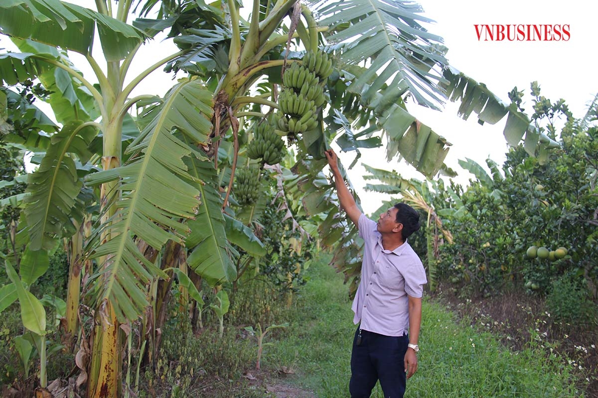 Anh Nguyễn Mạnh Thắng, Giám đốc HTX Thượng Nông cho biết, do mạnh dạn đổi mới nên HTX đã tạo được nhiều việc làm, nâng cao thu nhập cho người lao động.