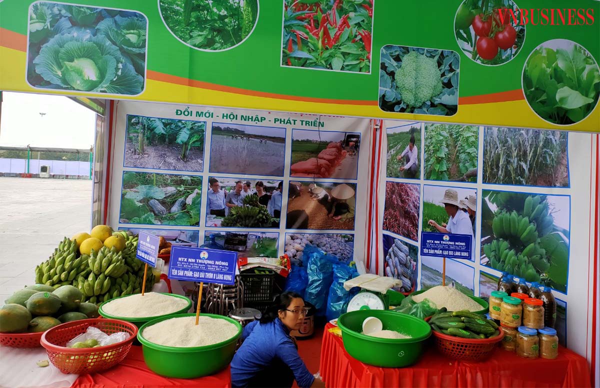 HTX Thượng Nông thường xuyên tham gia các hội chợ trưng bày, giới thiệu sản phẩm do chính quyền, các ban ngành tỉnh Phú Thọ tổ chức.