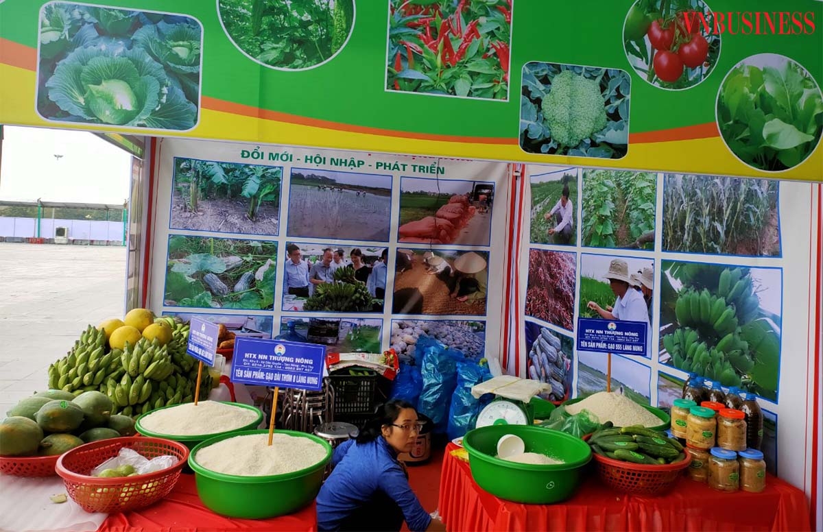 HTX Thượng Nông thường xuyên tham gia các hội chợ trưng bày, giới thiệu sản phẩm do chính quyền, các ban ngành tỉnh Phú Thọ tổ chức.