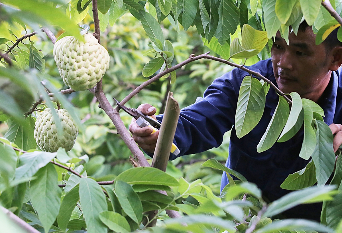 HTX sẽ tiếp tục hoạt động theo hướng an toàn sinh thái, công nghệ cao (Ảnh TL).