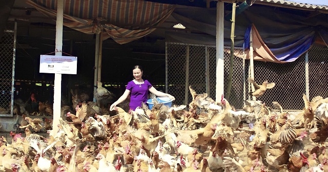 Quy trình chăn nuôi bài bản, an toàn sinh học của HTX Hương Nhượng mang lại hiệu quả kinh tế cao.