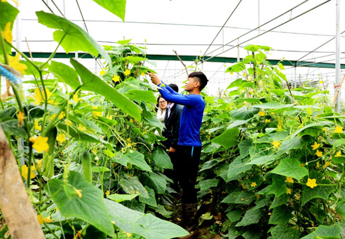 Trình độ sản xuất nâng lên giúp người dân phát huy những thế mạnh của địa phương.