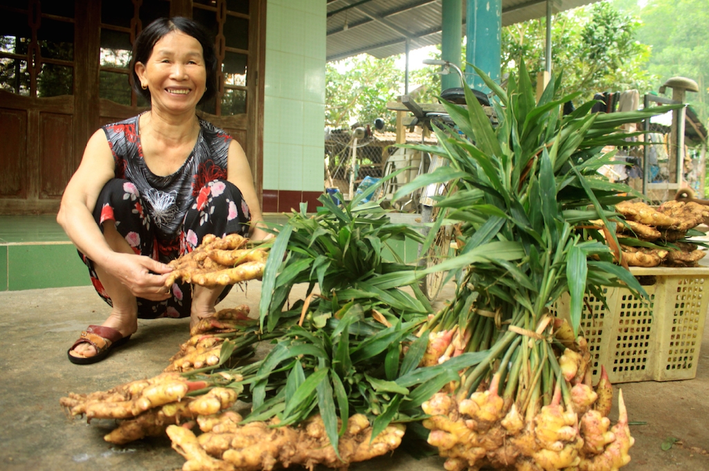 Nhờ đoàn kết giúp nhau, thay đổi nếp nghĩ cách làm trong nông nghiệp đã giúp nông dân người Hrê nâng cao đời sống.