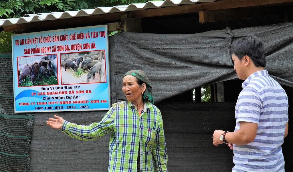 Dự án “Liên kết tổ chức sản xuất, chế biến và tiêu thụ heo ky” giúp bà con Hrê ở xã Sơn Ba (huyện Sơn Hà) thoát nghèo.