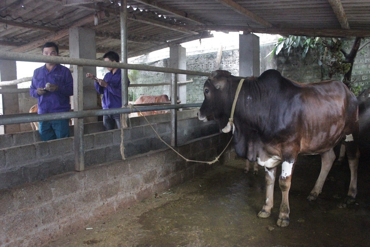 Phát triển phong trào thi đua nông dân sản xuất kinh doanh giỏi.