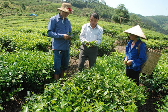 Huyện Mường Khương sẽ đẩy mạnh hỗ trợ về tín dụng, xây dựng các mô hình phát triển nông nghiệp.