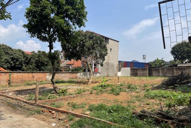 Dòng đất thổ cư ven đô hay chung cư đã sử dụng vẫn là phân khúc khách hàng có nhu cầu sử dụng (Ảnh: TL).