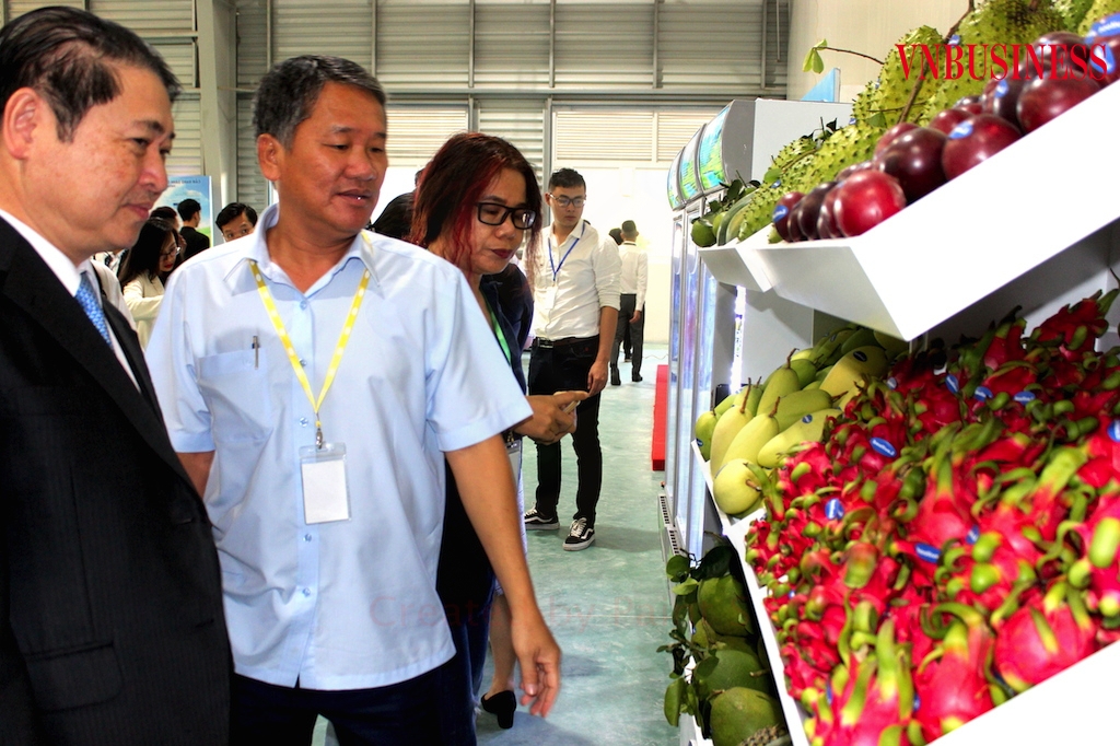 Để nâng sức cạnh tranh đòi hỏi các DN XK trái cây linh động, đa dạng trong việc lựa chọn hình thức vận chuyển phù hợp.