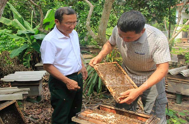 Ông Nguyễn Đức Minh, Giám đốc HTX ong mật hữu cơ Sơn Động (trái) hướng dẫn kỹ thuật nuôi ong cho thành viên.