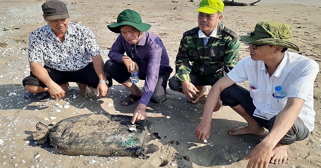 Các thành viên HTX thường xuyên kiểm tra bãi nghêu để kịp thời có giải pháp xử lý thích hợp.