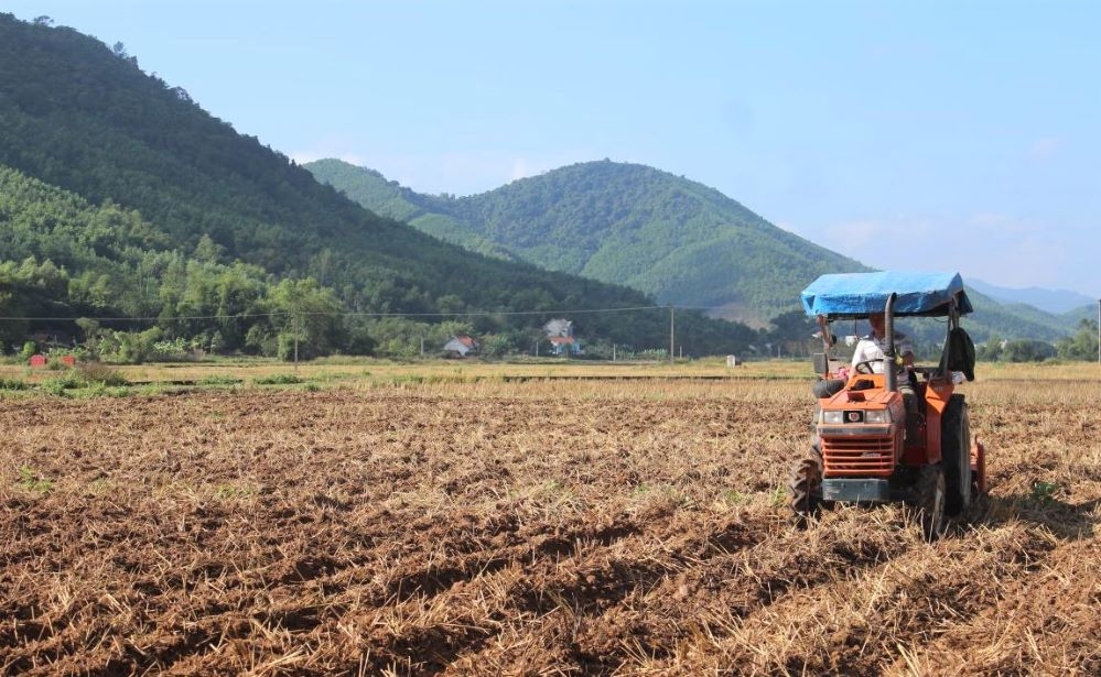 Nông nghiệp huyện Sơn Động phát triển theo hướng hiện đại, với sự tham gia ngày càng lớn của các HTX (Ảnh: Int)