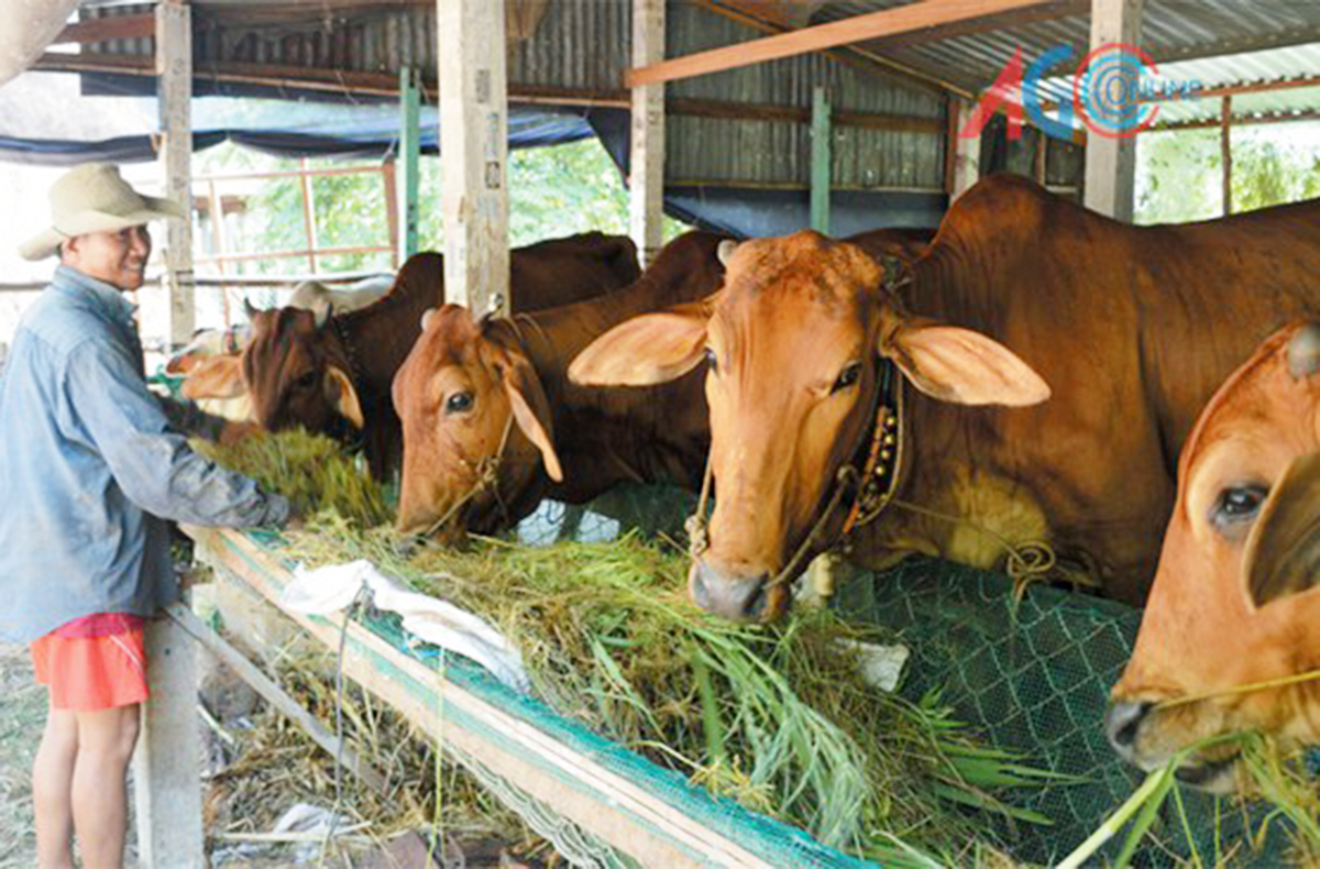 Các nguồn lực hỗ trợ đang mở hướng thoát nghèo, làm giàu bền vững cho người dân tộc thiểu số.