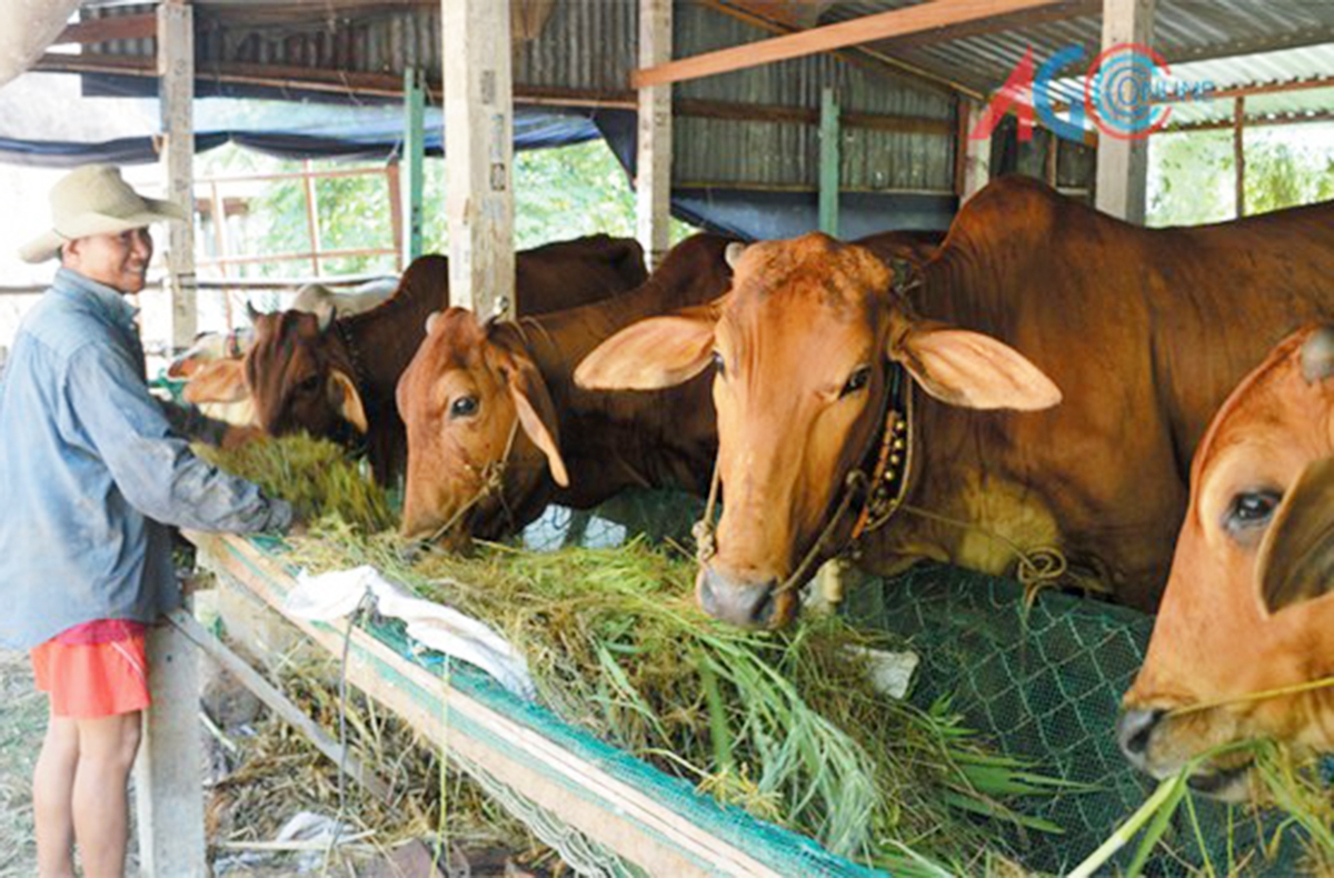 Các nguồn lực hỗ trợ đang mở hướng thoát nghèo, làm giàu bền vững cho người dân tộc thiểu số.