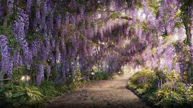 Đường hoa tử đằng tại The Landmark