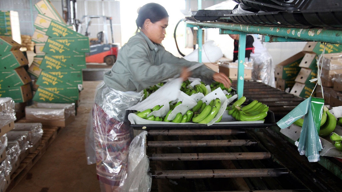 Dự kiến XK rau củ quả 6 tháng cuối năm sẽ giảm khoảng 30%.