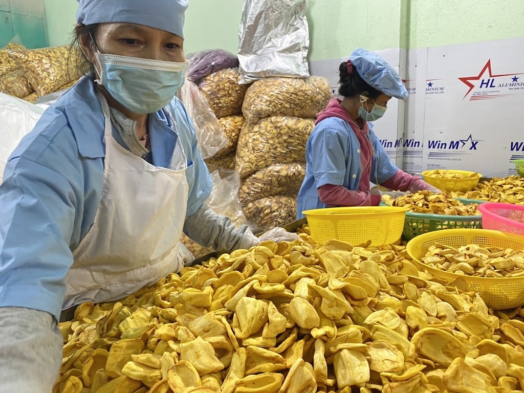 Phát triển chế biến nông sản ở Định Quán giúp bao tiêu sản phẩm của bà con dân tộc thiểu số trong chuỗi với giá cao hơn thị trường.