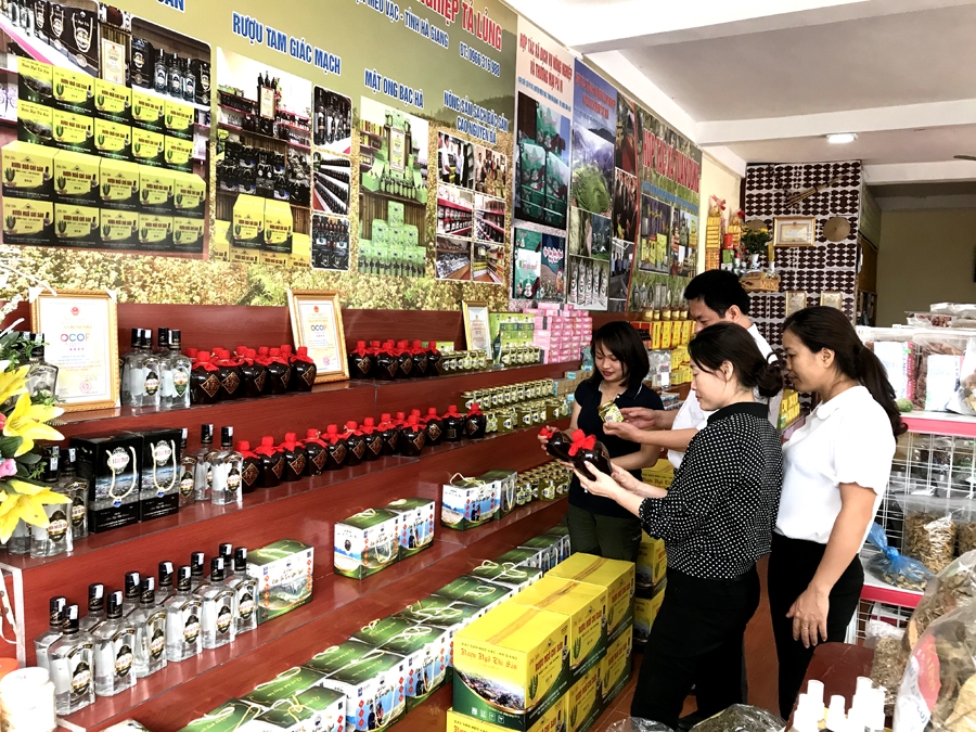 Việc mở rộng các gian hàng trưng bày, giới thiệu sản phẩm vừa góp phần quảng bá thương hiệu cho nông sản, vừa đảm bảo việc tiêu thụ hàng hóa của HTX Tả Lủng được ổn định.