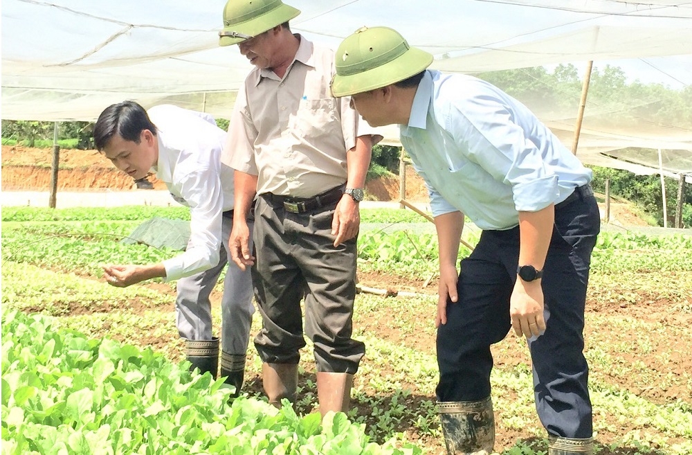 Phát triển mô hình HTX đang nhận được sự quan tâm của huyện Hớn Quản.