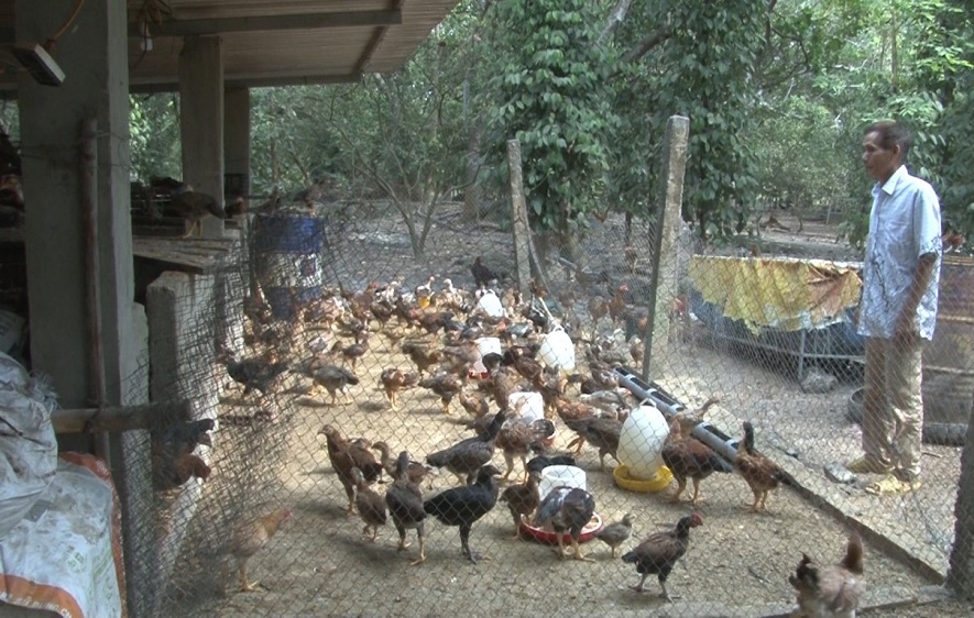 HTX chăn nuôi Tân Hưng mong muốn được tạo điều kiện liên kết với doanh nghiệp để xây dựng khu giết mổ tập trung.
