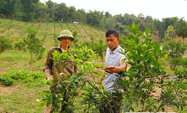 Các chương trình, dự án hỗ trợ cho đồng bào trên địa bàn đã phát huy được hiệu quả, hộ nghèo giảm còn hơn 24%.