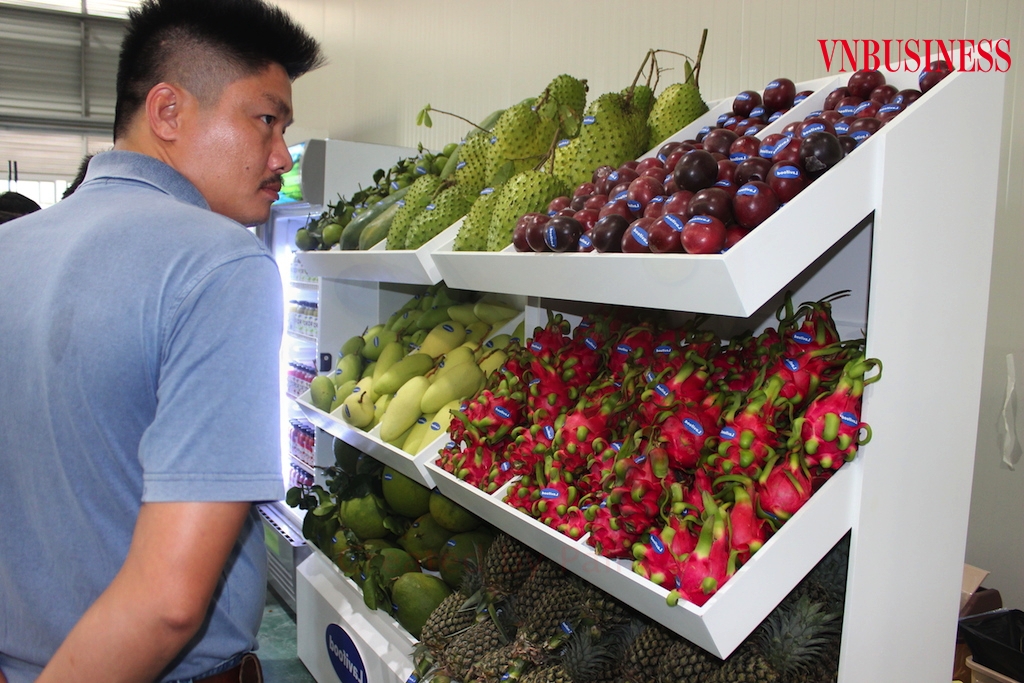 Để thị trường XK rau quả thông suốt đang là thách thức quá lớn với các DN.