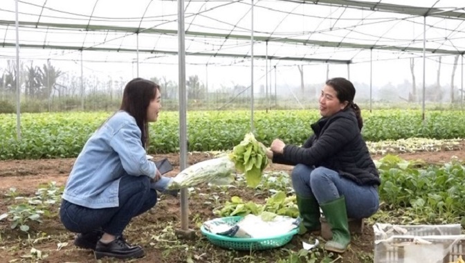 Đầu tư nhà màng giúp hạn chế tác động của thời tiết đến rau màu.