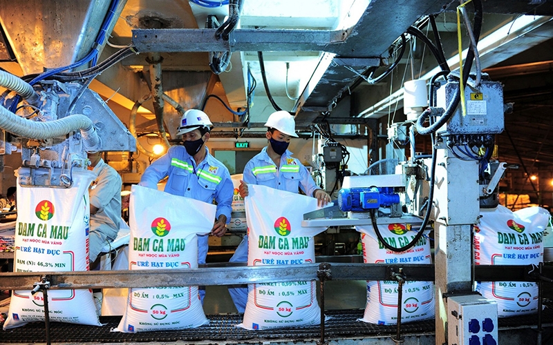 Phân đạm Cà Mau tăng từ mức 6.800 đồng/kg lên 11.700 đồng/kg.