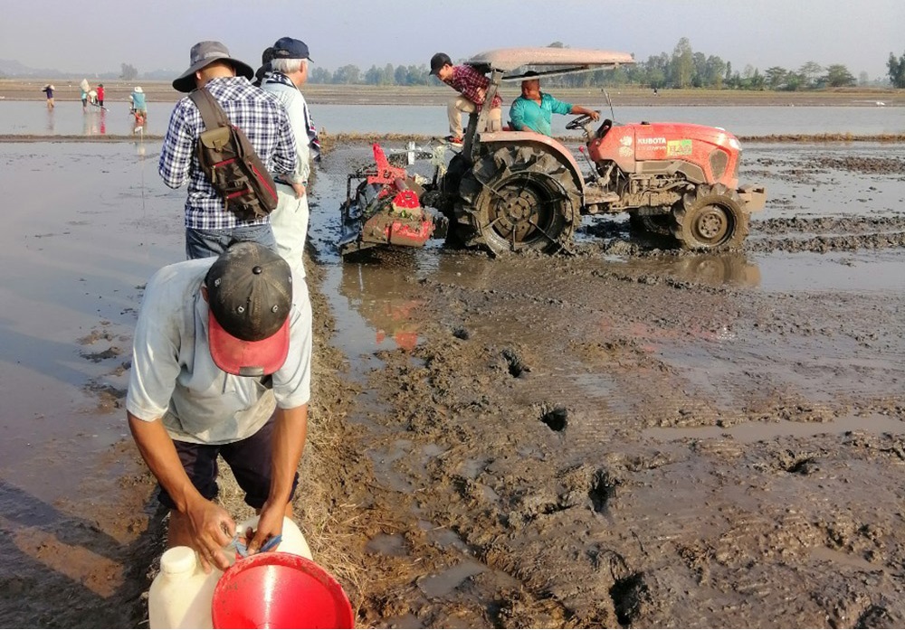 Cơ giới hóa trong trong sản xuất lúa giúp người dân xã Thoại Giang nâng cao năng suất, chất lượng sản phẩm.