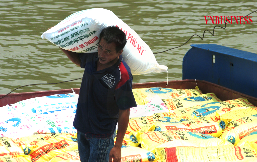 Giá phân bón “leo thang” giữa đại dịch Covid-19 đợt 4 càng chồng chất thêm gánh nặng cho các nông hộ.