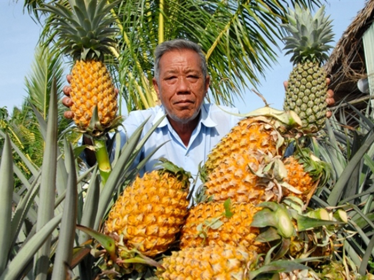 Thành công trong nông nghiệp tạo đà cho Hỏa Tiến xây dựng nông thôn mới nâng cao (Ảnh TL).