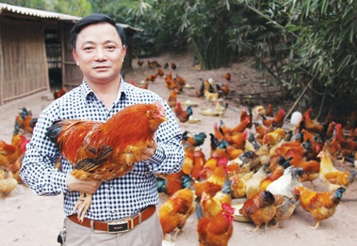 Nông thôn mới đang góp phần phát huy lợi thế, nâng cao giá trị sản xuất cho người dân địa phương (Ảnh TL).