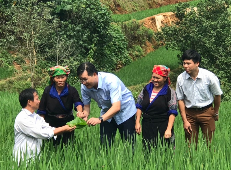 Để các HTX hoạt động hiệu quả, huyện Mù Cang Chải thường xuyên theo dõi, kiểm tra quá trình sản xuất của các HTX trên địa bàn.