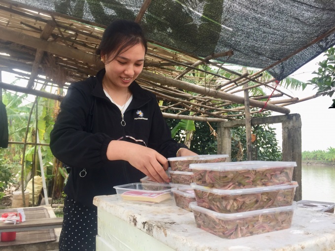 Rươi cấp đông của HTX An Thanh đã đạt OCOP 4 sao.