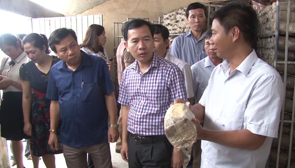 Chú trọng nguồn nhân lực là nền tảng giúp HTX phát triển bền vững.