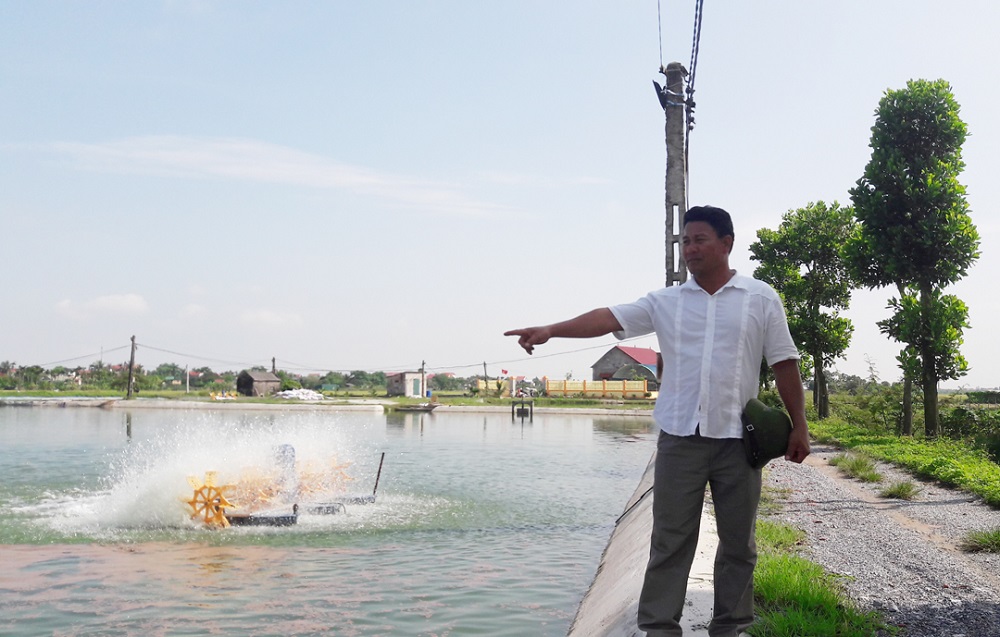 Nuôi trồng thủy sản cũng là một trong những định hướng phát triển trong quá trình xây dựng nông thôn mới của Tứ Kỳ.