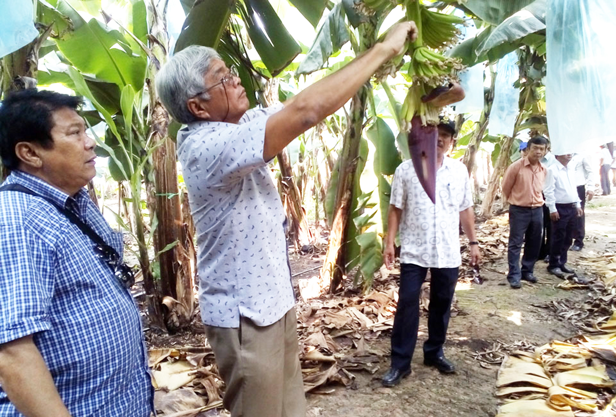 Hiệu quả chuyển đổi giúp nông dân trên địa bàn huyện xây dựng nhiều mô hình kinh tế hiệu quả.