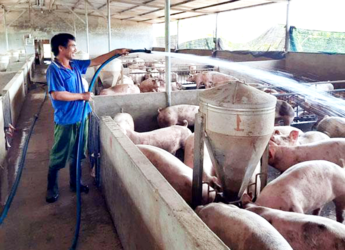 Được trang bị kiến thức đầy đủ, người nông dân tự tin phát triển sản xuất.